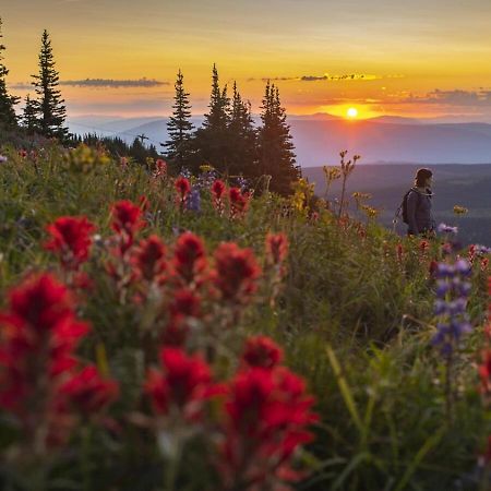 Fireside Lodge #409 By Bear Country Sun Peaks Dış mekan fotoğraf