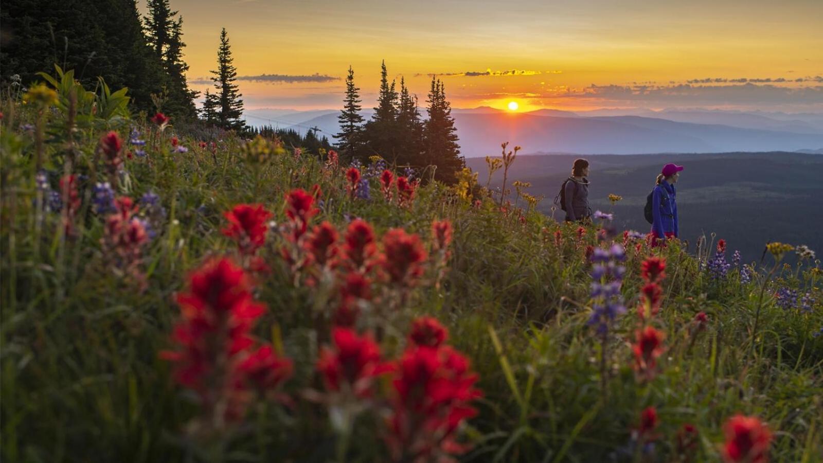 Fireside Lodge #409 By Bear Country Sun Peaks Dış mekan fotoğraf