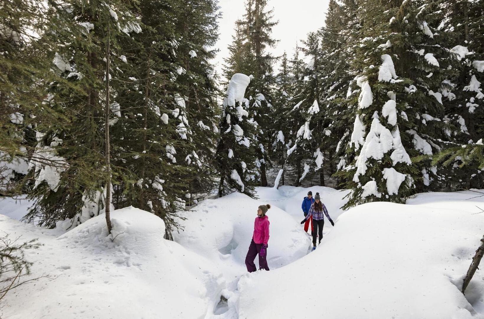 Fireside Lodge #409 By Bear Country Sun Peaks Dış mekan fotoğraf